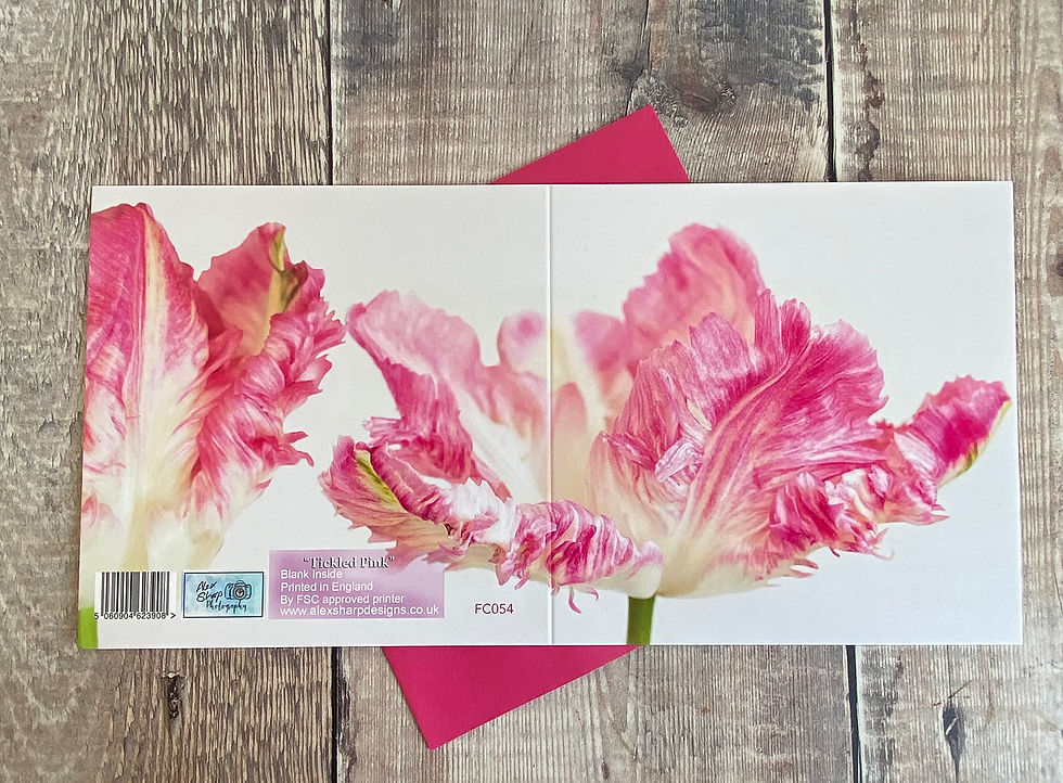 Thumbnail: FC054 Pink Parrot Tulip fine art Greeting Card - tulip card