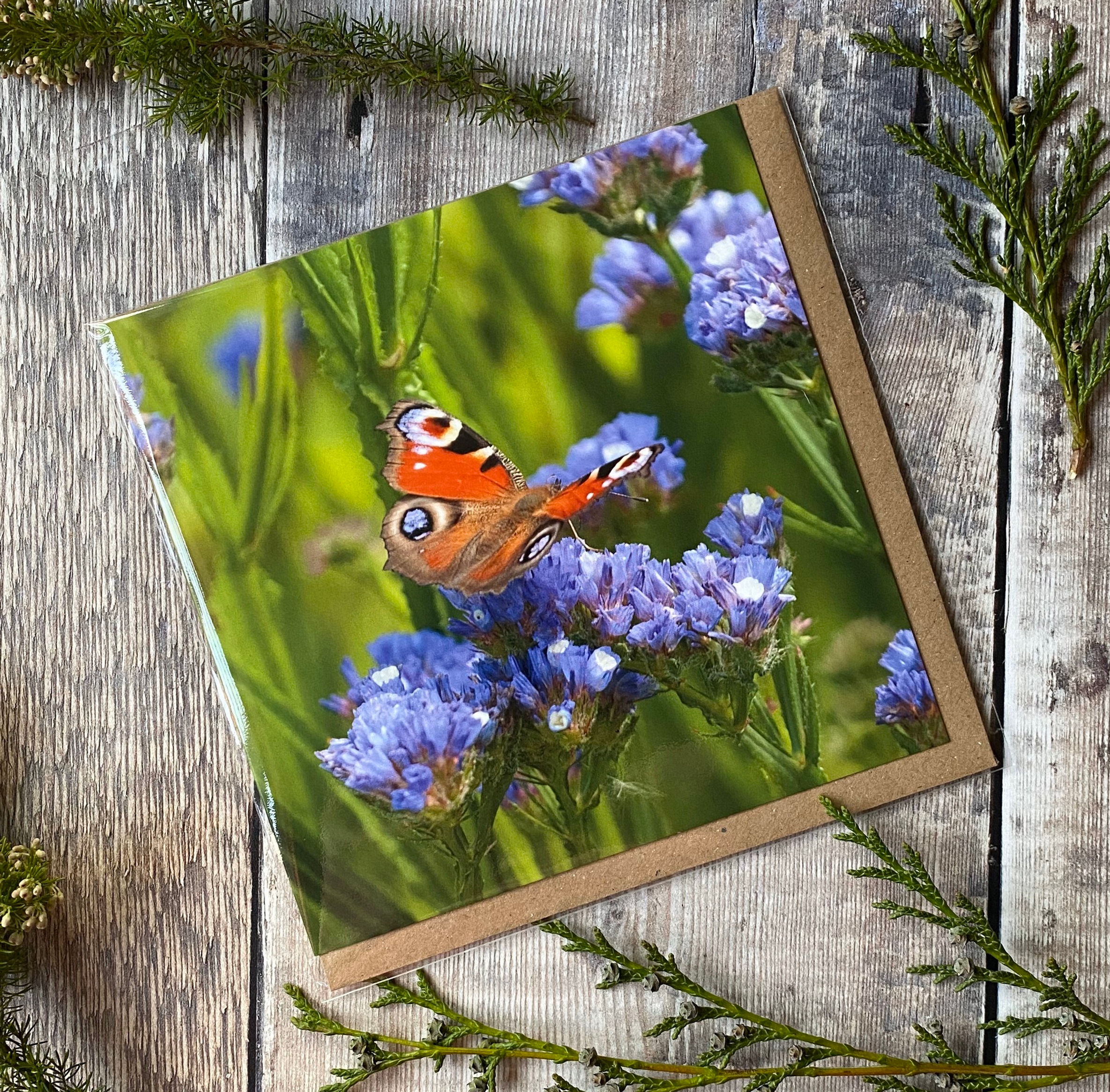 Peacock Butterfly Greeting Card