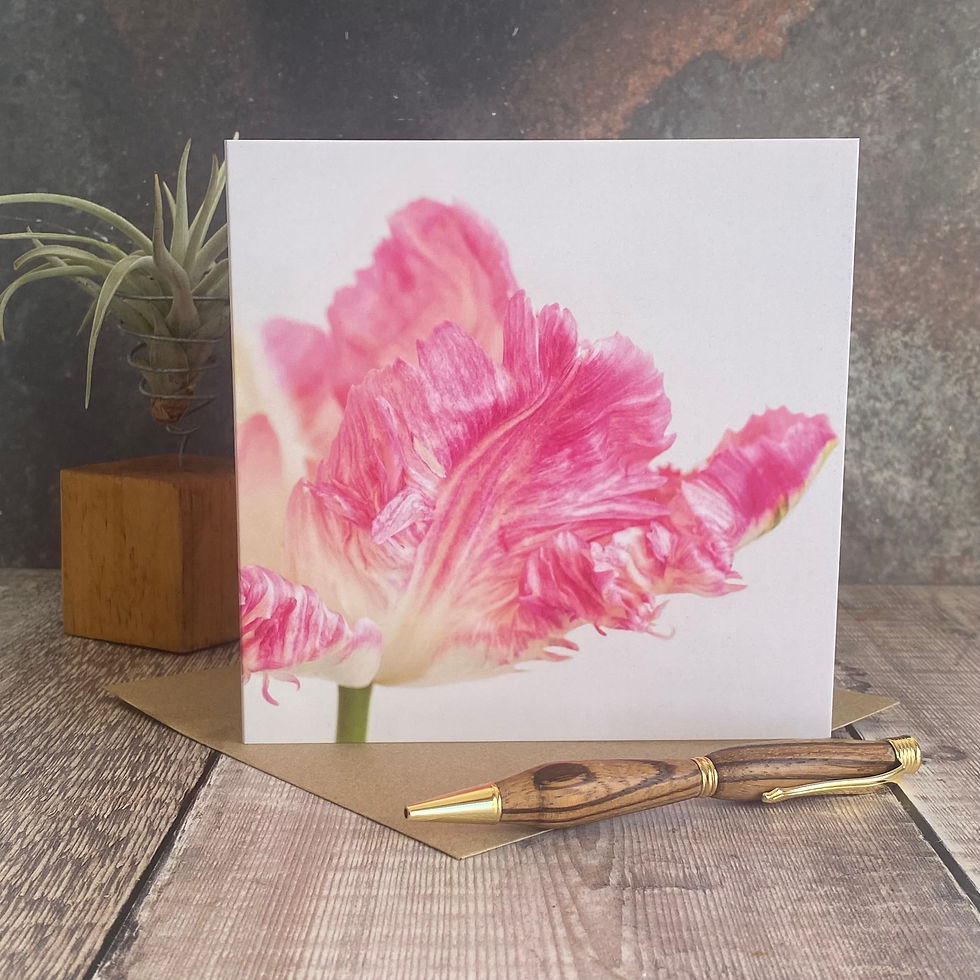 Pink Parrot Tulip fine art Greeting Card - tulip card
