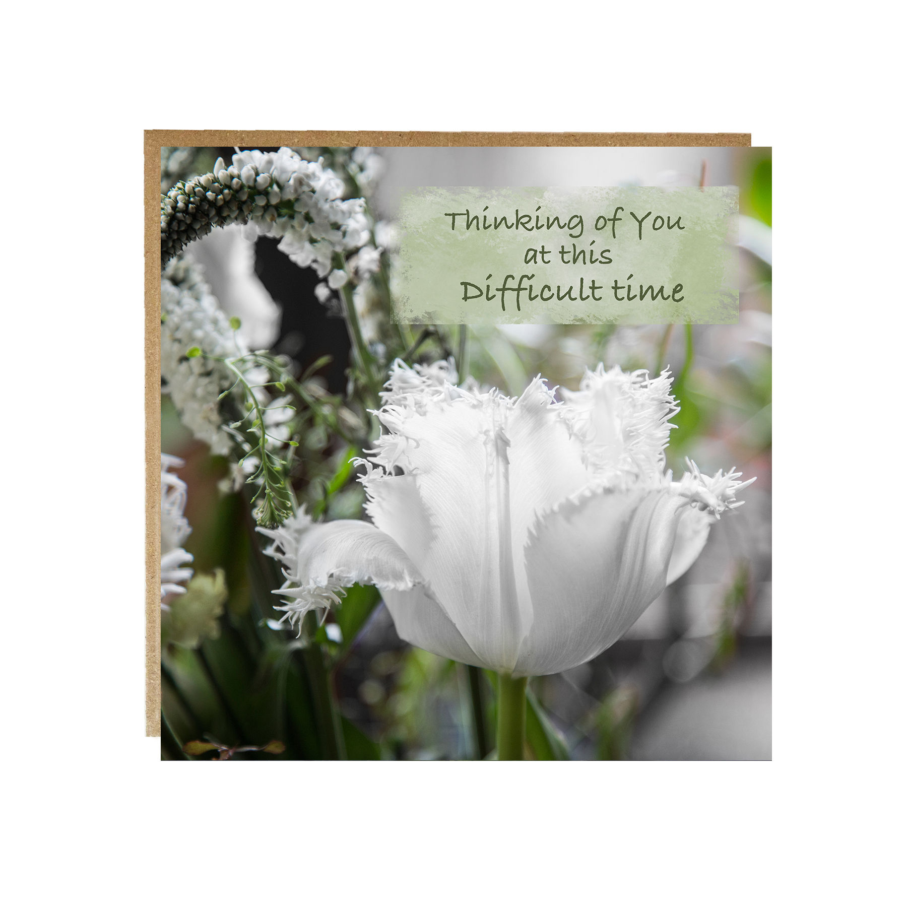Thinking of You at this Difficult Time Card