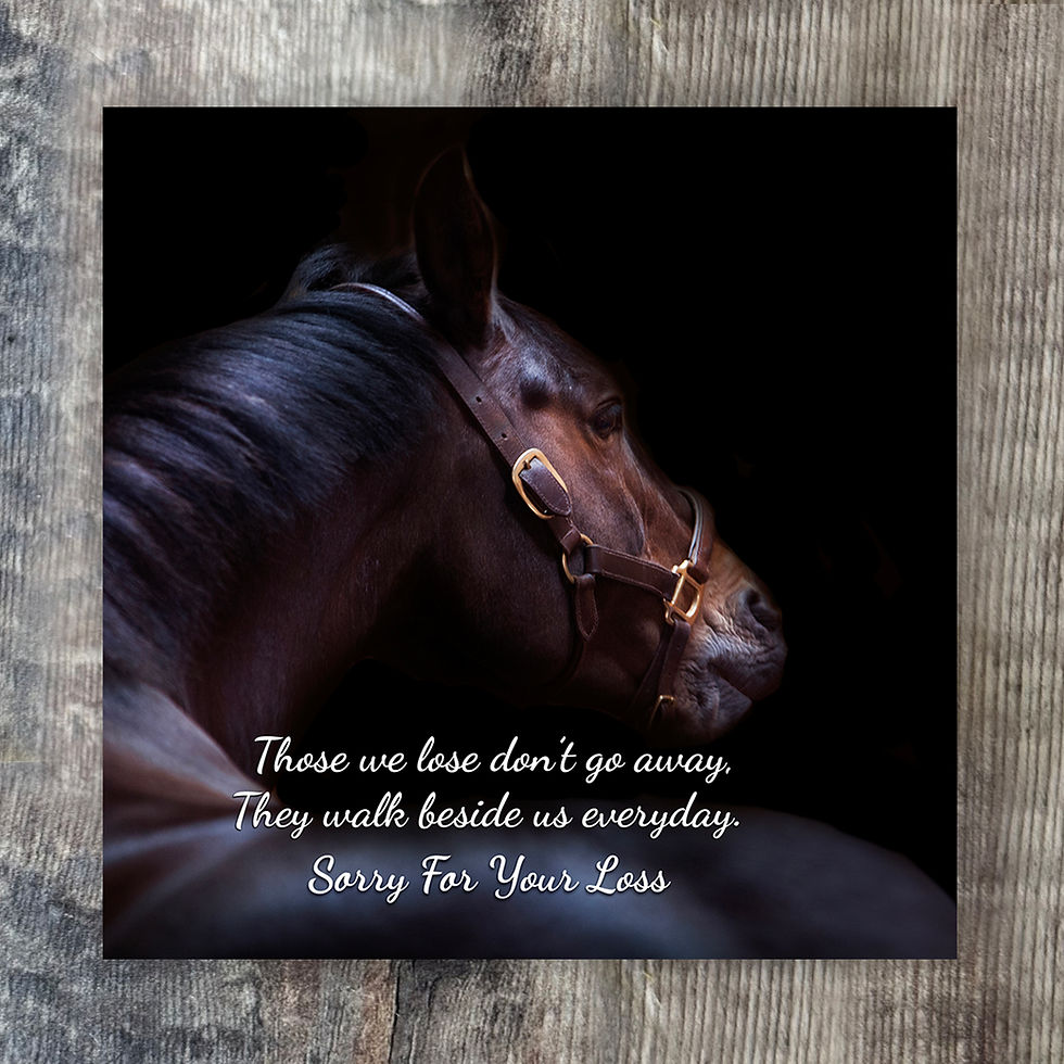 Thumbnail: Trade Horse with sympathy card