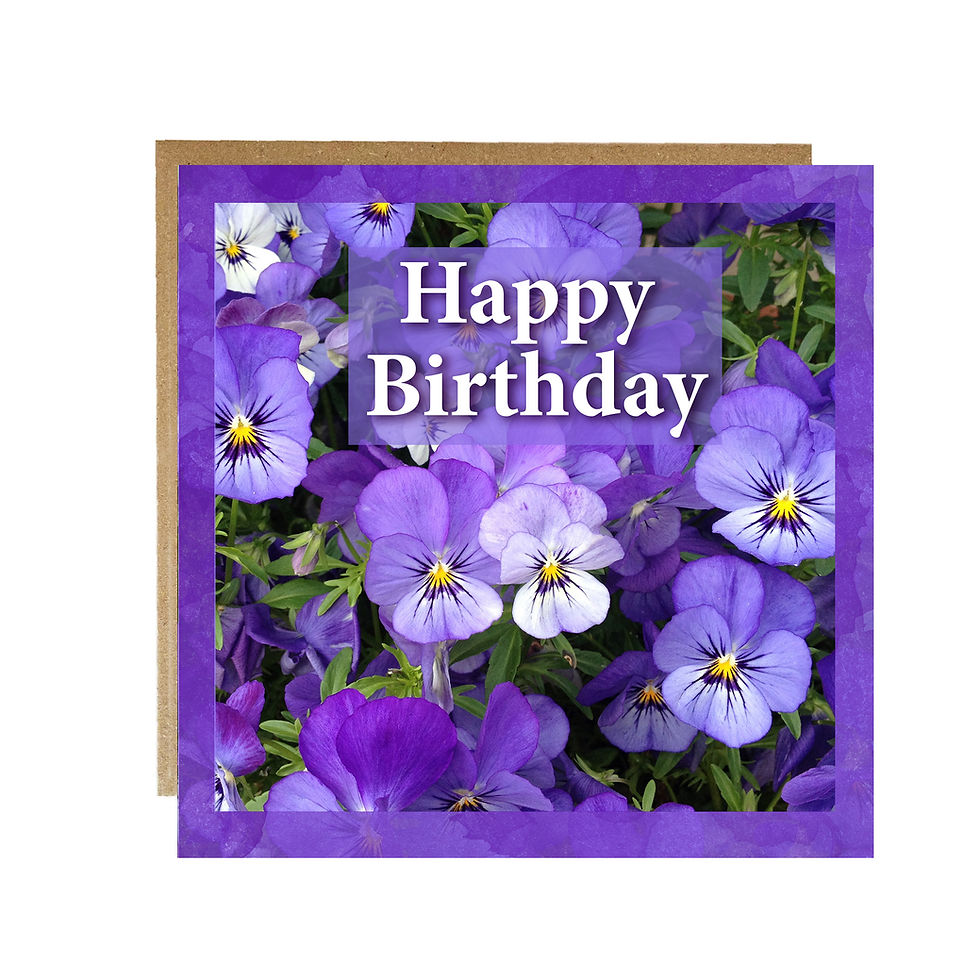 Purple Violas Happy Birthday Card