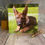 Thumbnail: German shepherd Puppy greeting card - dog card