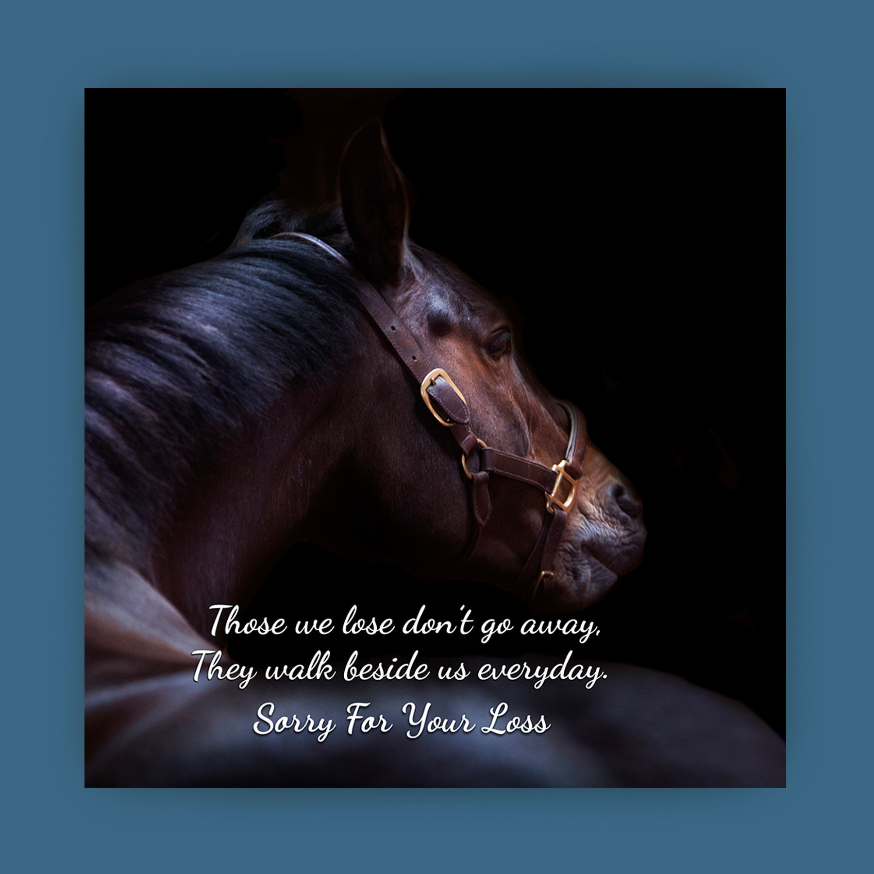 Horse with sympathy card