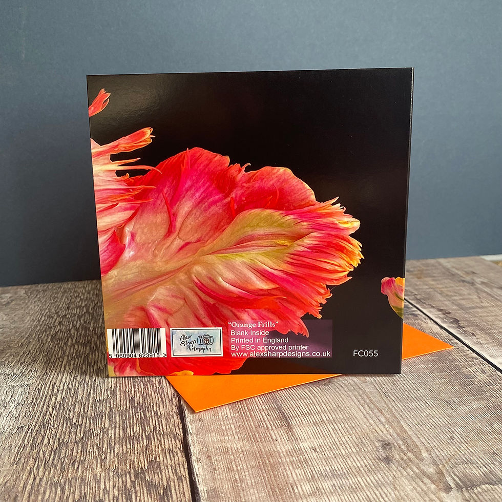 Thumbnail: Orange Parrot Tulip fine art Greeting Card
