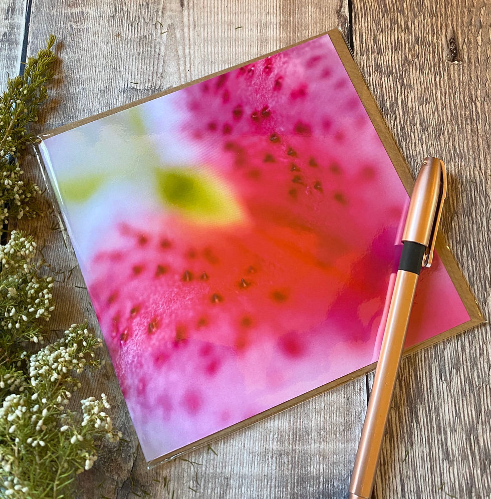 Lily flower close up Greeting Card