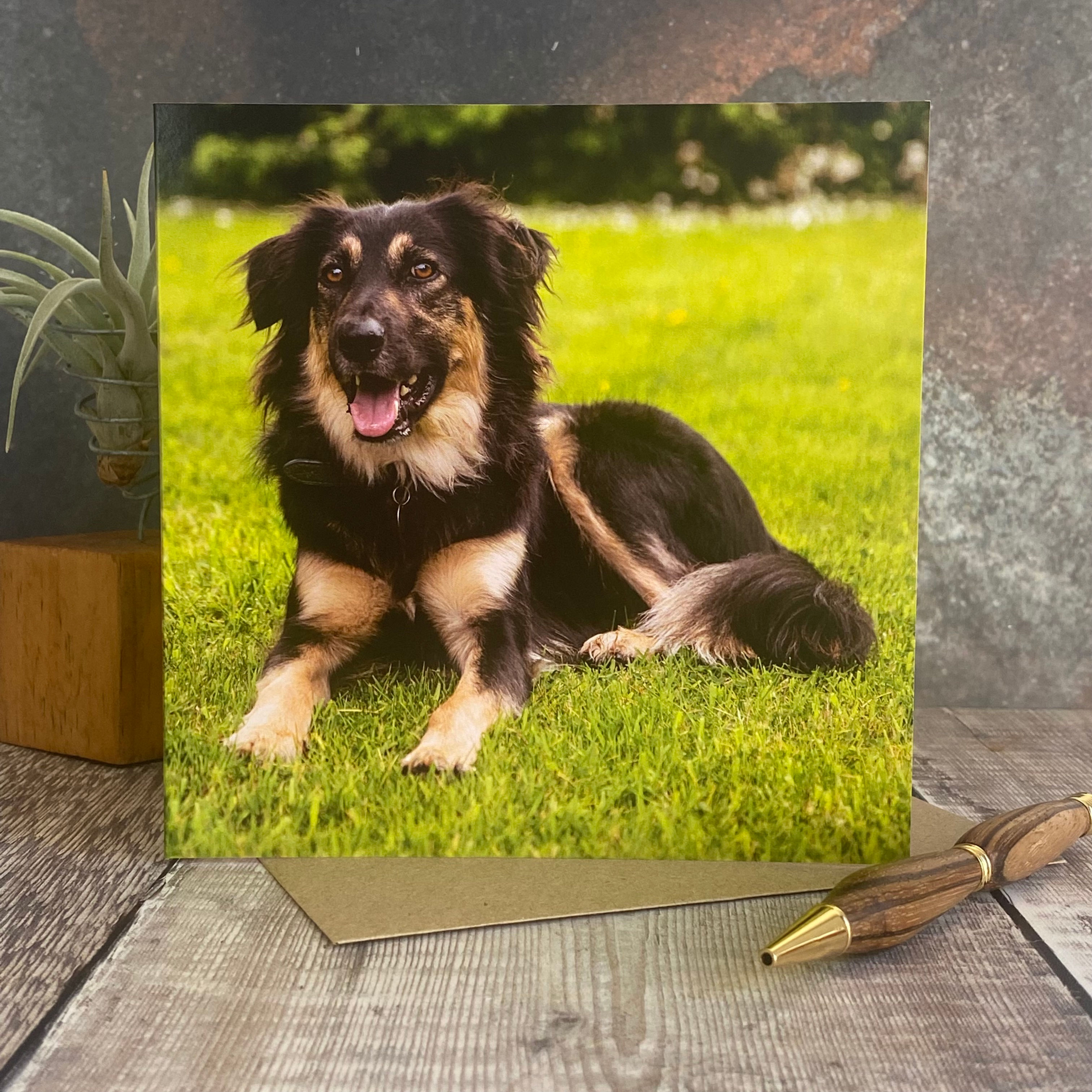 Happy Dog greeting card -  Black and tan happy dog card