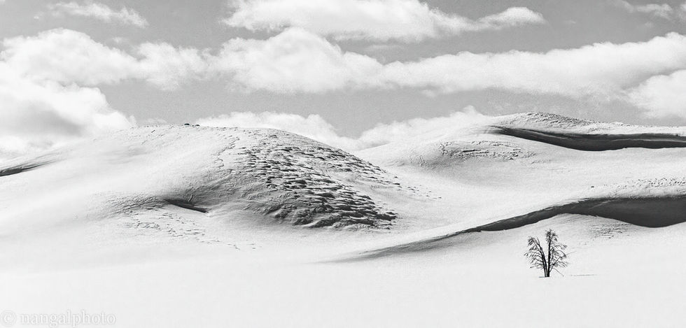 Yellowstone National Park