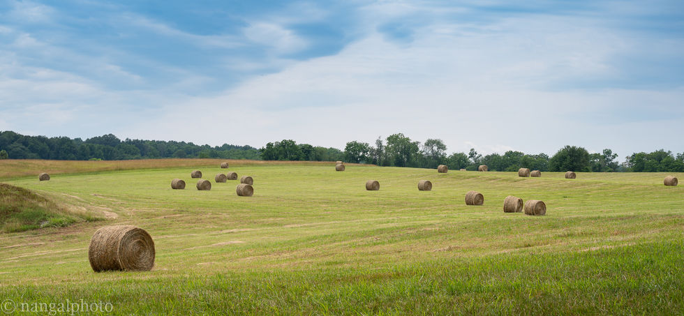 Loudoun County, Virginia