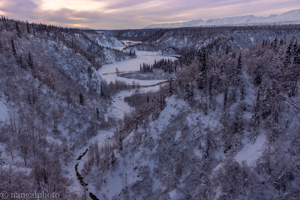Winter view from the Alaska Railroad on the way to Fairbanks