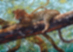 Thumbnail: M100-028 Leopard King