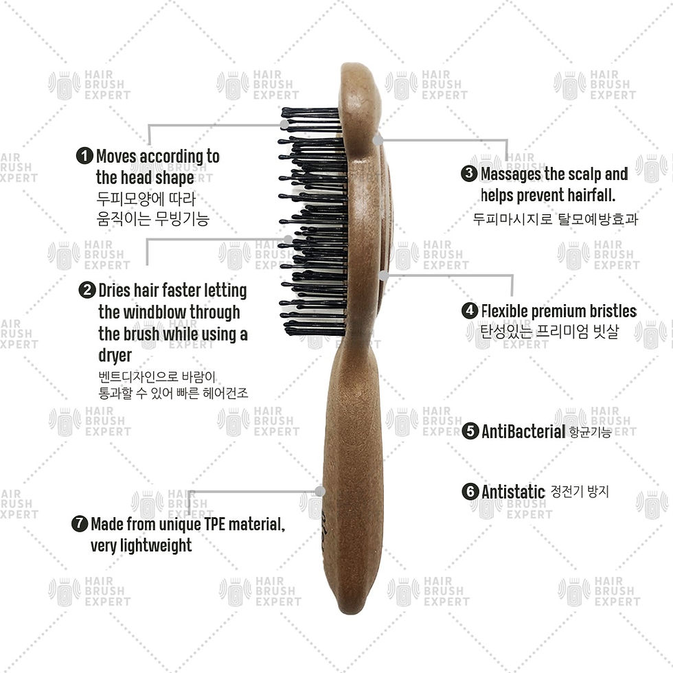 Thumbnail: Yao Teddy Brush Duo (Adult Portable Brush also for Kids Ages 6-12)