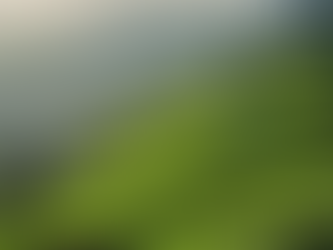 Discover Darjeeling: Stay, Dine, and Explore