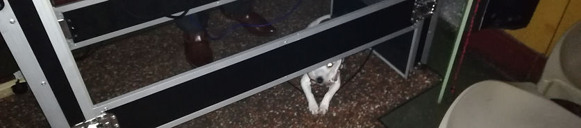 Molly