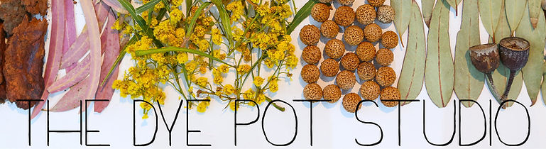 Dye Pot Studio Logo.jpg