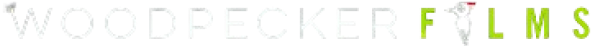 Woodpecker_Films_Logo_-_for_black_background_-_outline_2_1-removebg-preview 1 (1).png