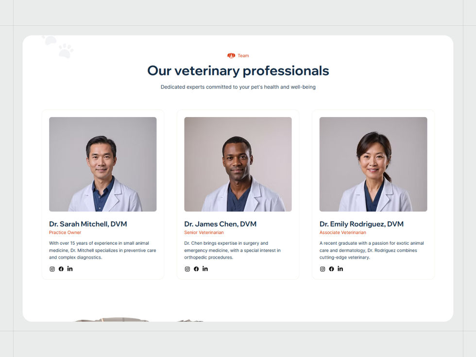Veterinary Clinic Website Template 4