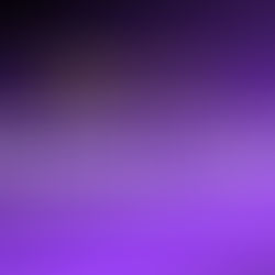 Wix Studio Template Customization Course For Beginners