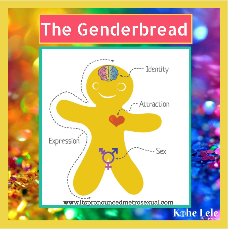 the genderbread