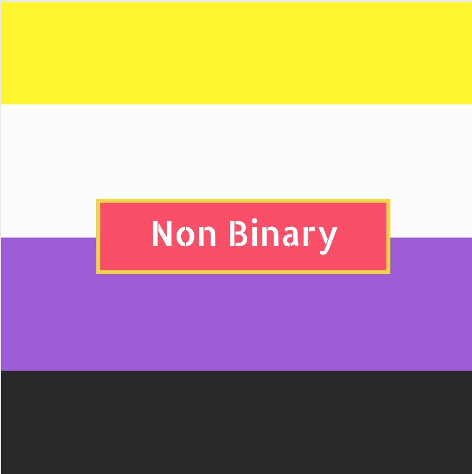 Non Binary flag