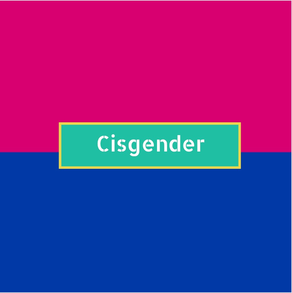 Cisgender flag