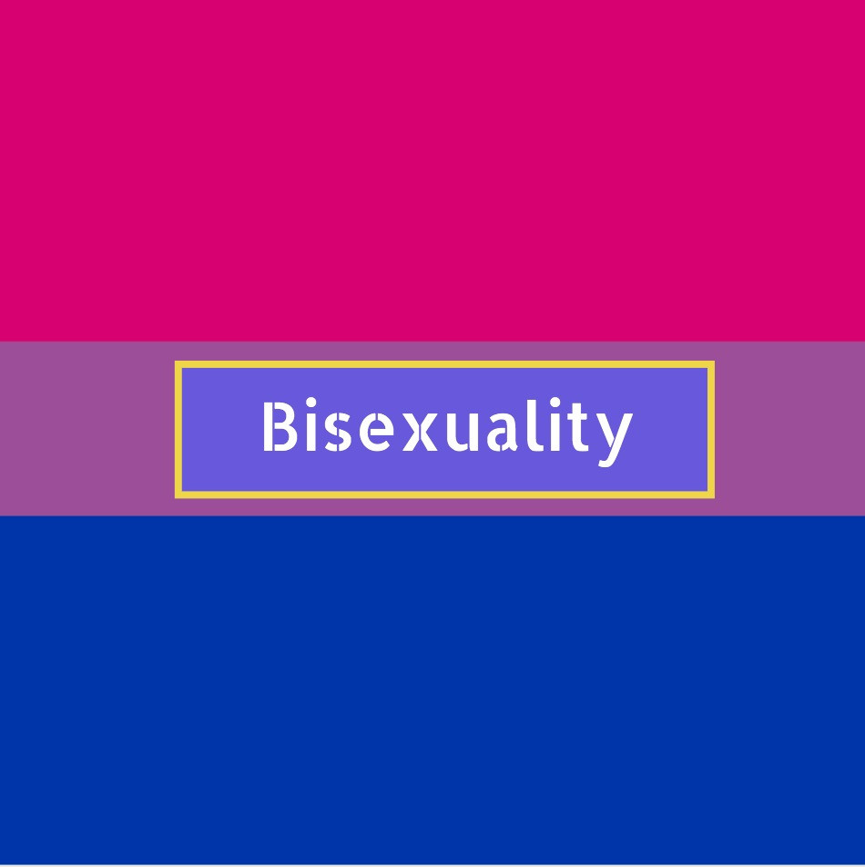 Bisexuality flag