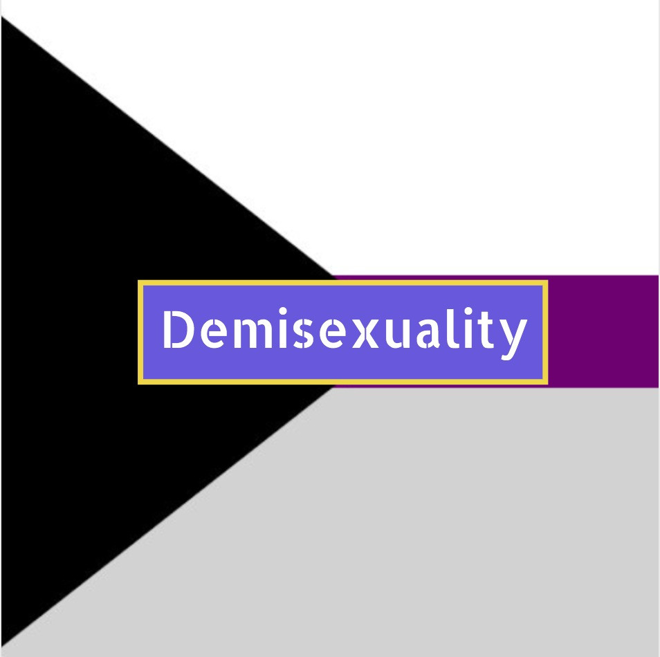 Demisexuality flag