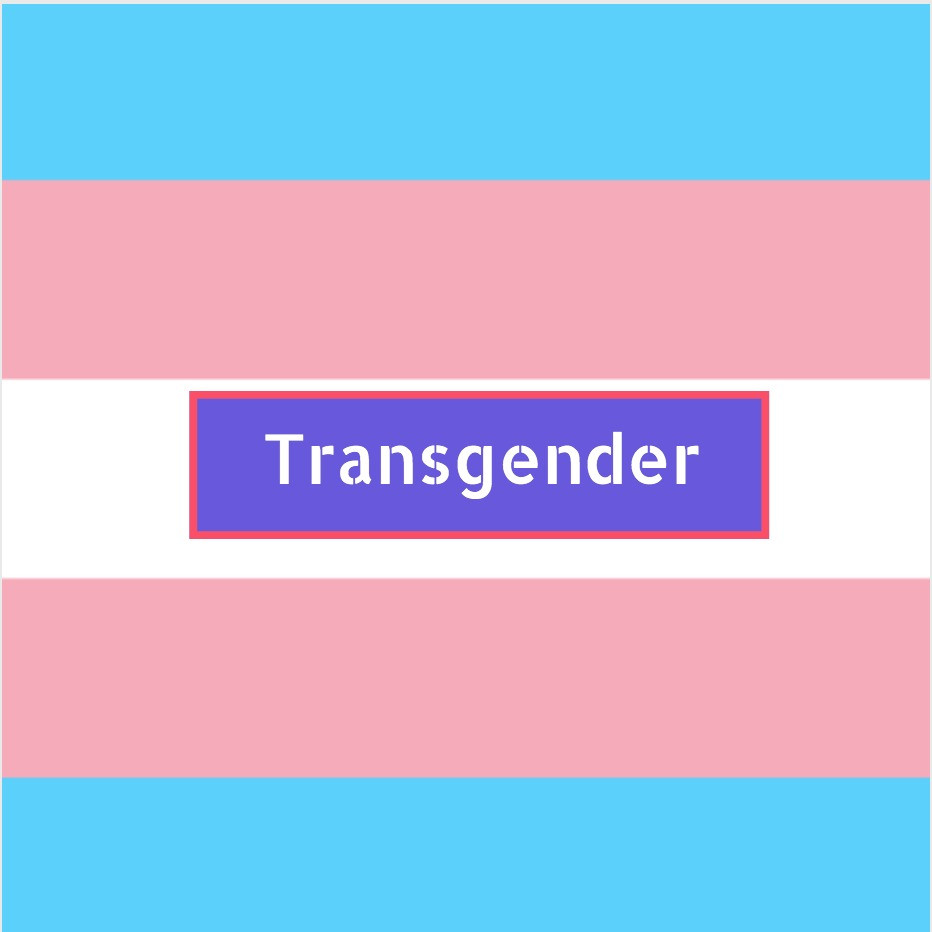 Transgender flag