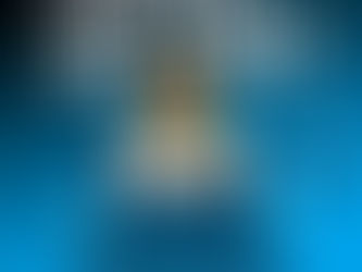 ALESSIO SONCIN CONFERMATO MISTER DELLA PRIMA SQUADRA