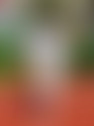 TRIS DA URLO DI ARDIT, JESOLO SCHIANTA LA PRO!