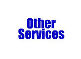 NAYSA Other Services.jpg