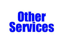 NAYSA Other Services.jpg