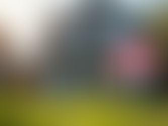 Property purchased using a DSCR Mortgage