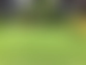 artificial turf longevity