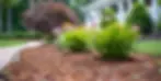 xeriscaping yard in Colorado