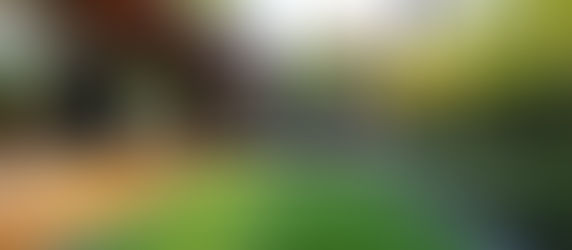 artificial grass lawn at residential home in colorado