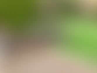 artificial grass maintenance