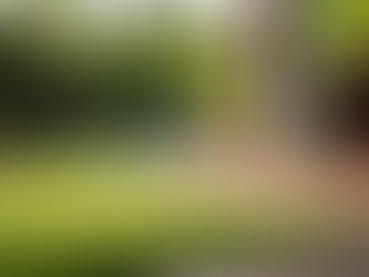 artificial grass in home yard