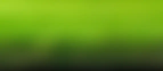 artificial turf layers