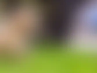 puppy on artificial turf lawn