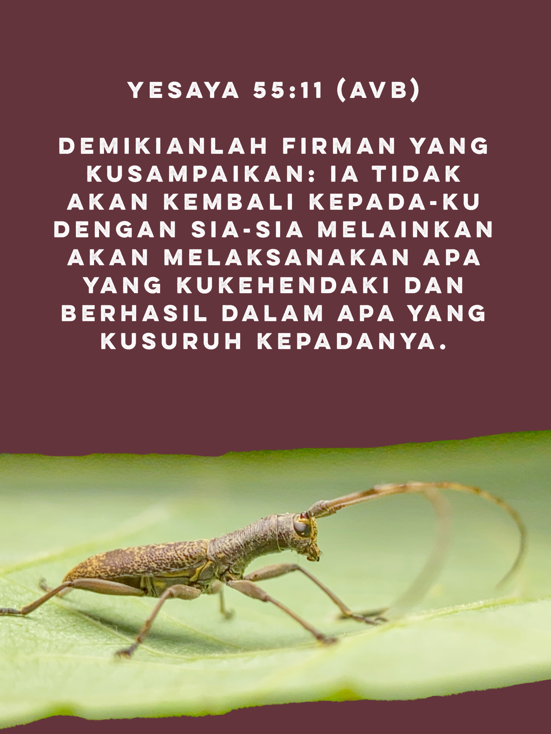 Sorgich chashka vibrator bilan milf jinsiy aloqa