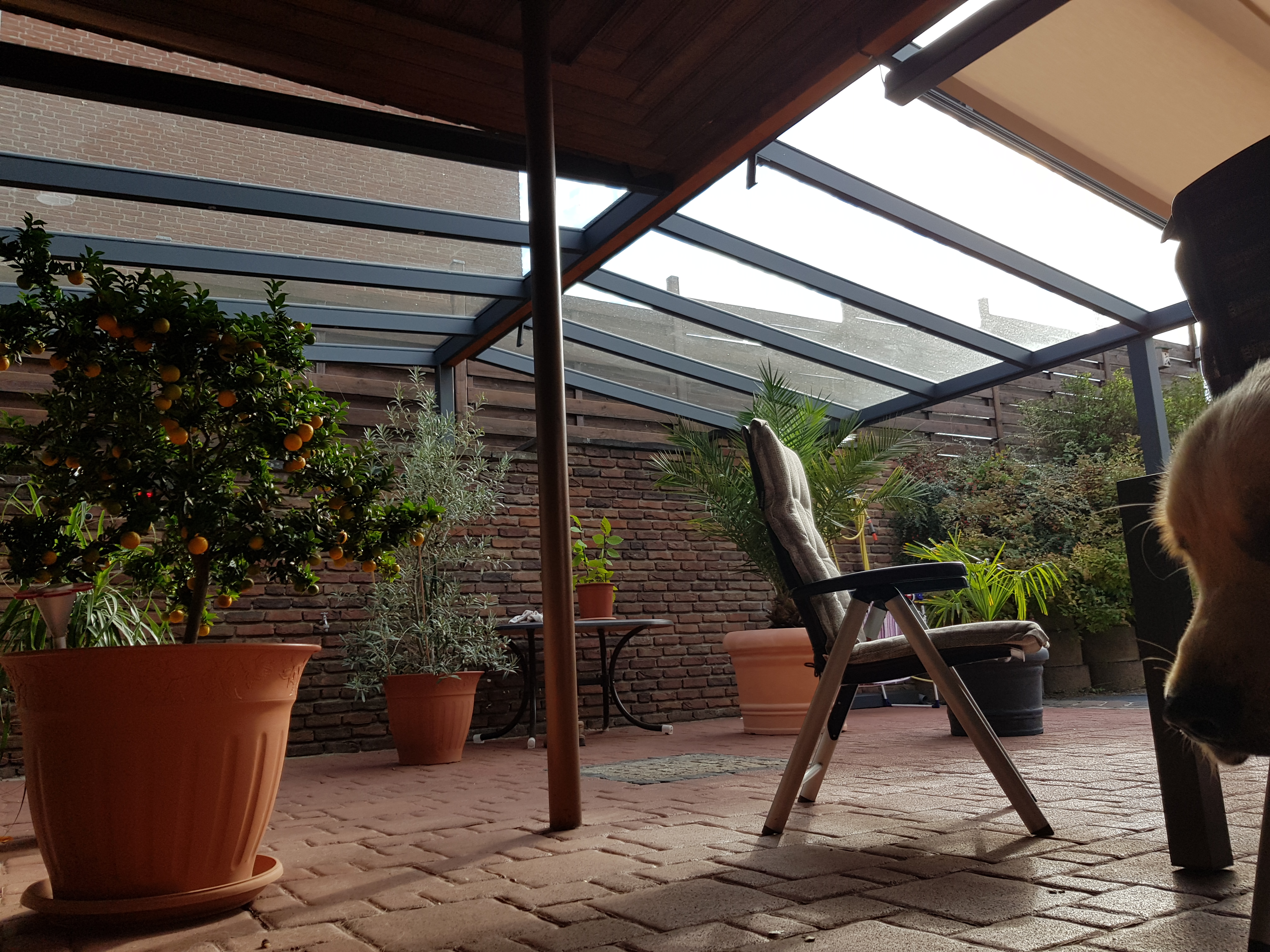 Wintergarten-Solution