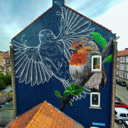 Muurschildering | Mural | Streetart | Muralist Marloes de Kiewit | Rotterdam Zuid Roodborststraat