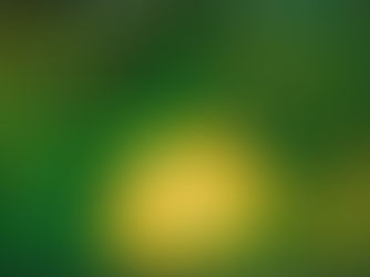 Tinubu Approves Construction of Two Federal Roads in Ekiti