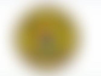 Lagos Moves to Mobilise Green Finance for Large-Scale Ocean Resilience, Coastal Protection and Climate Innovation Projects