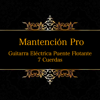 Pack Mantención Pro Guitarra Eléctrica Puente Flotante 7 Cuerdas