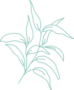 植物