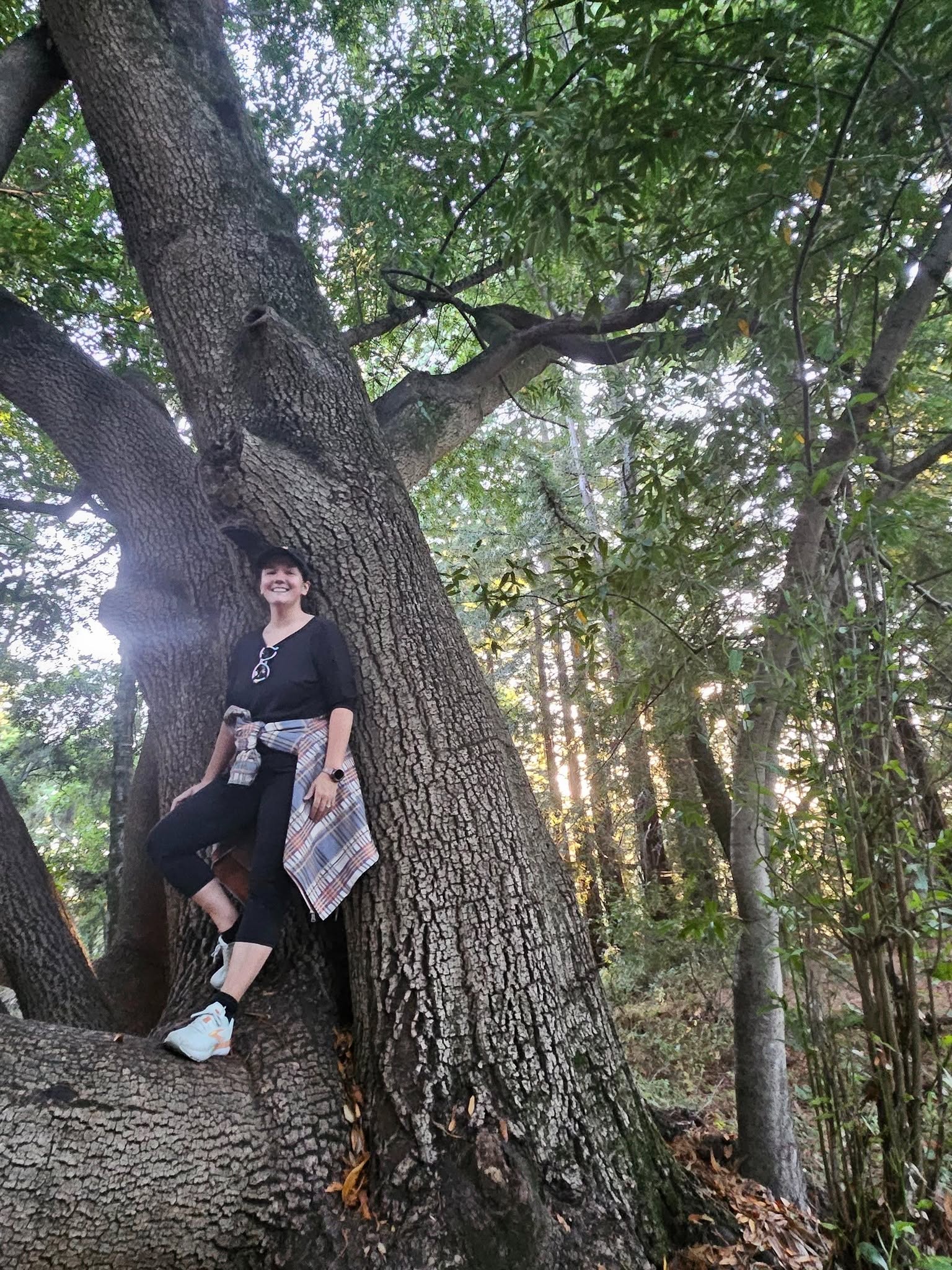 Writer: Kristin Park