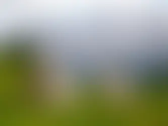 Découvrez les sites touristiques incontournables de la région avec un chauffeur de taxi local