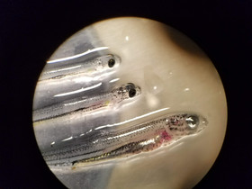 20180706_122410.jpg